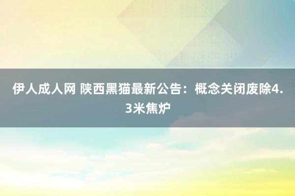 伊人成人网 陕西黑猫最新公告：概念关闭废除4.3米焦炉