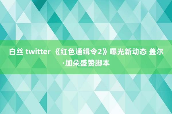 白丝 twitter 《红色通缉令2》曝光新动态 盖尔·加朵盛赞脚本